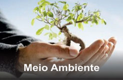 Meio Ambiente | Areal Vale do Paraiba